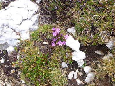 010-Auf dem Dolomiten-Hoehenweg